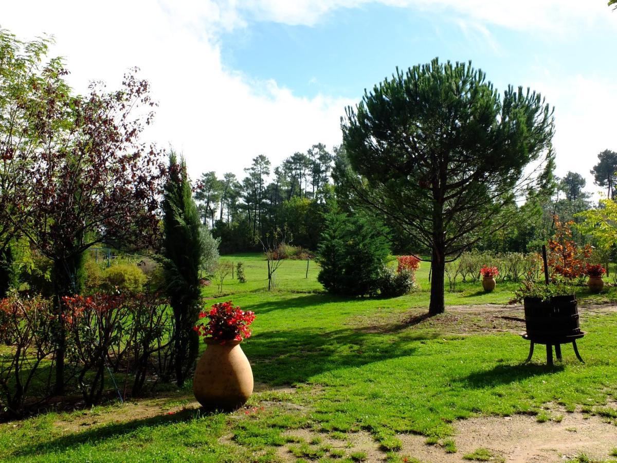 Domaine Du Planas Ailhon Ardeche Bed and Breakfast Εξωτερικό φωτογραφία